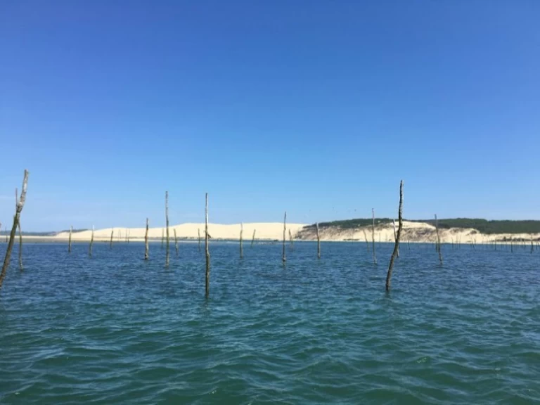 Hire Motorboat with or without skipper Bénéteau Arcachon