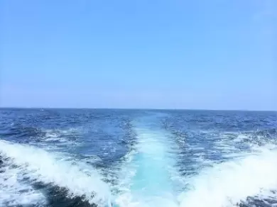 Motorboat hire in Auray - Kelt Club
