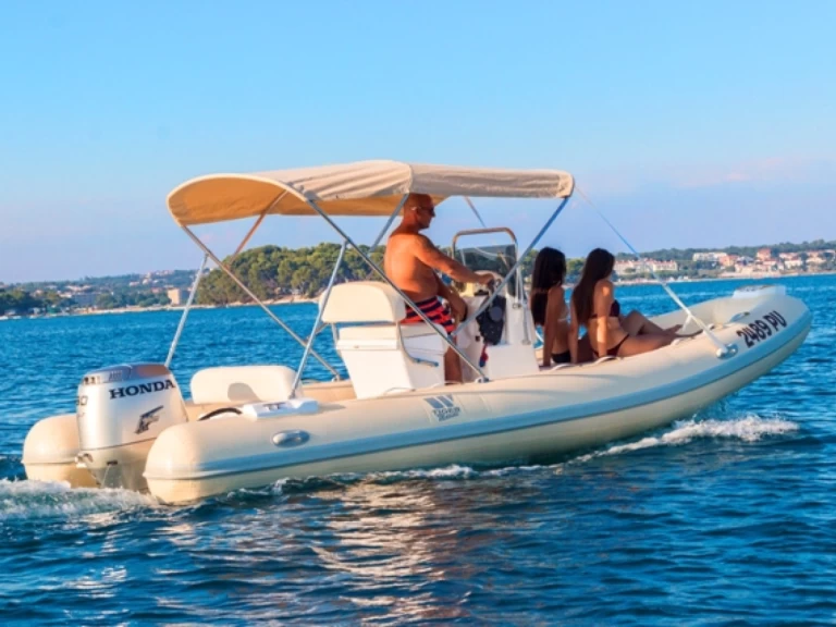 Tiger 550 Proline charter bareboat or skippered in  Premantura