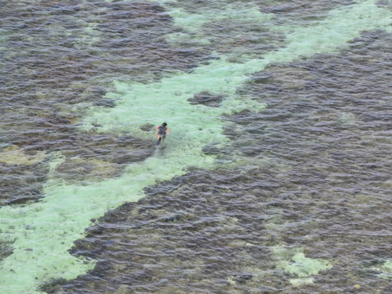 Fountaine Pajot Bahia 46 charter bareboat or skippered in  Nouméa