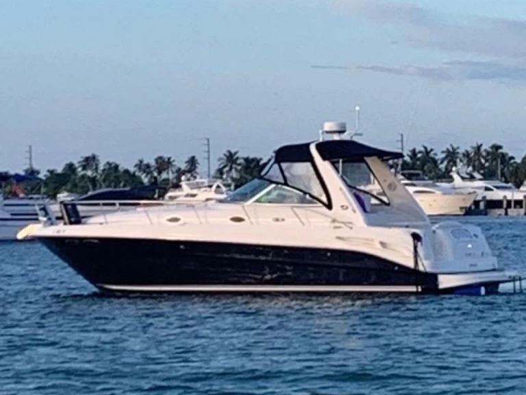 Hire Motorboat Sea Ray with a boat licence