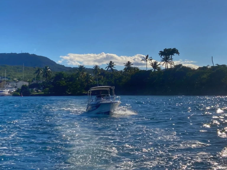 Yacht charter Les Trois-Îlets - Lobster marion 7,3 on SamBoat