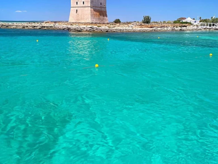Charter a Enterprise Marine 46 FLY BRIDGE in Porto Cesareo on Samboat