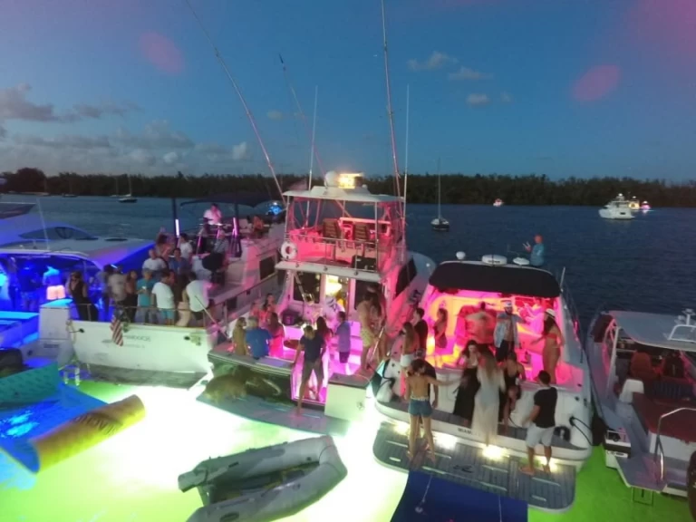 Yacht hire Miami cheap Sea Ray 410 Express Cruiser