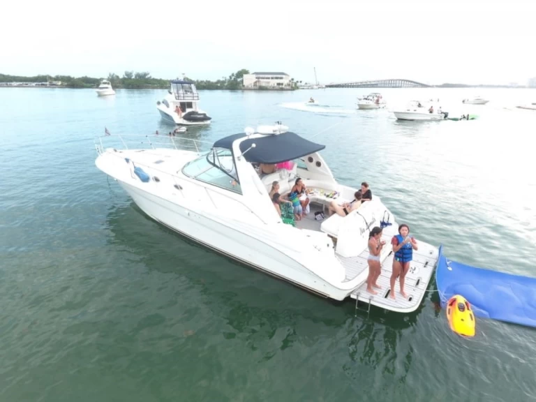 Charter a Sea Ray Sea Ray 410 Express Cruiser in Miami on Samboat