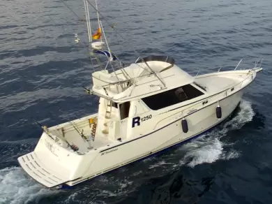 Hire Motorboat with or without skipper Rodman Marbella