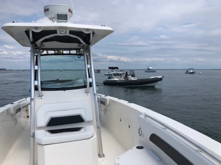 Motorboat hire in Piraillan - Wellcraft Scarab 30 Open