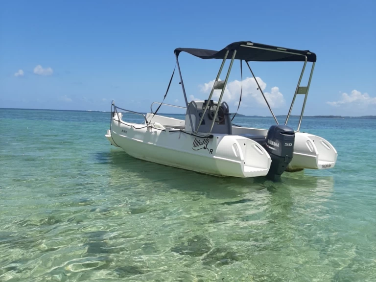 Hire Motorboat Whaly with a boat licence