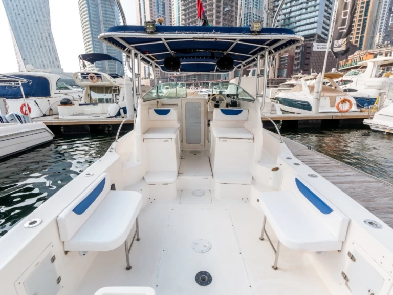 Yacht charter Dubai Marina - KITI KITI 33 on SamBoat