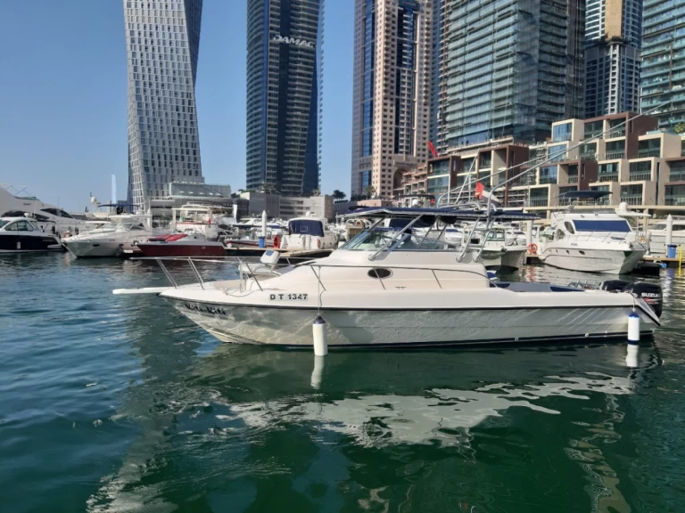 Charter a KITI KITI 33 in Dubai Marina on Samboat