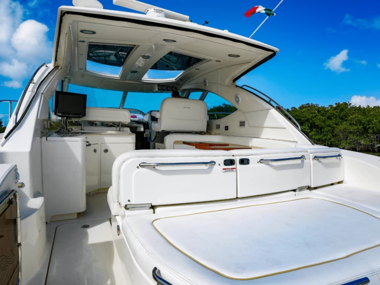 Hire Luxury Yacht Sea Ray with a boat licence