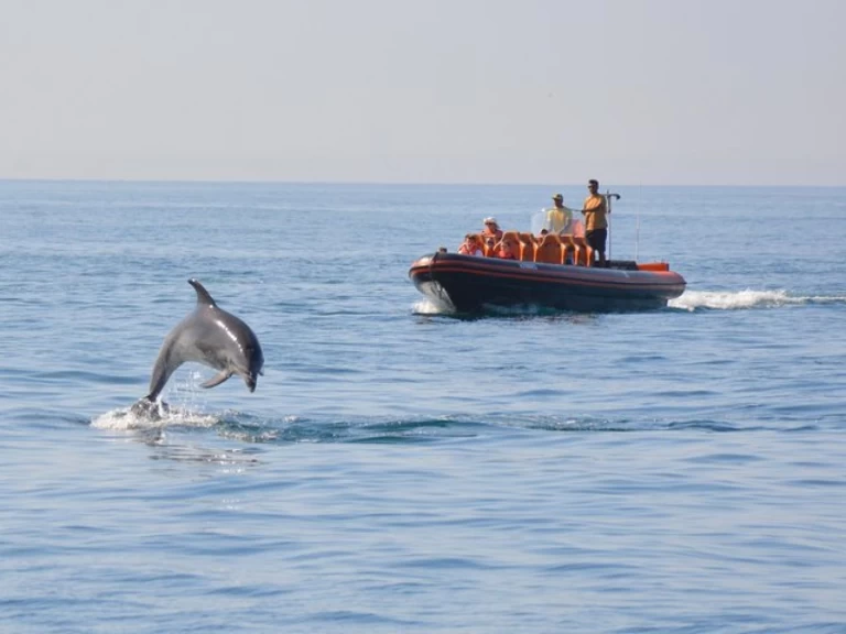 RIB to hire Vilamoura at the best price