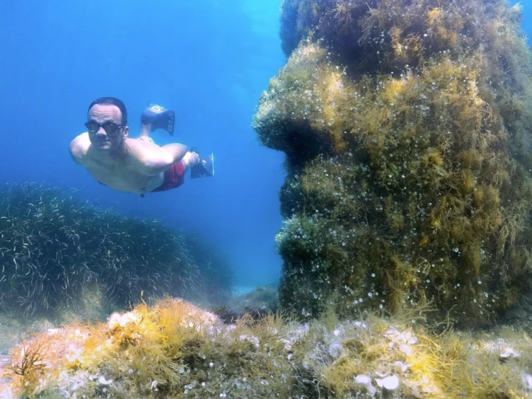 Charter a Karnic SL 800 in Cannes on Samboat