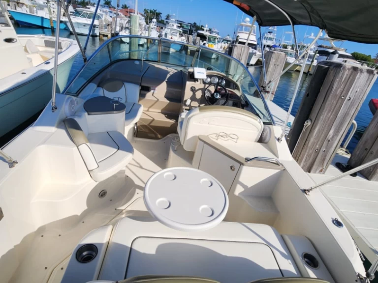 Sea Ray Sea Ray 240 Sundancer charter bareboat or skippered in  Lighthouse PT