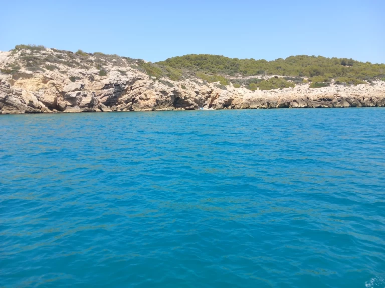 Yacht charter Vilanova i la Geltrú - Astilleros Mahon Tiburon 44 on SamBoat