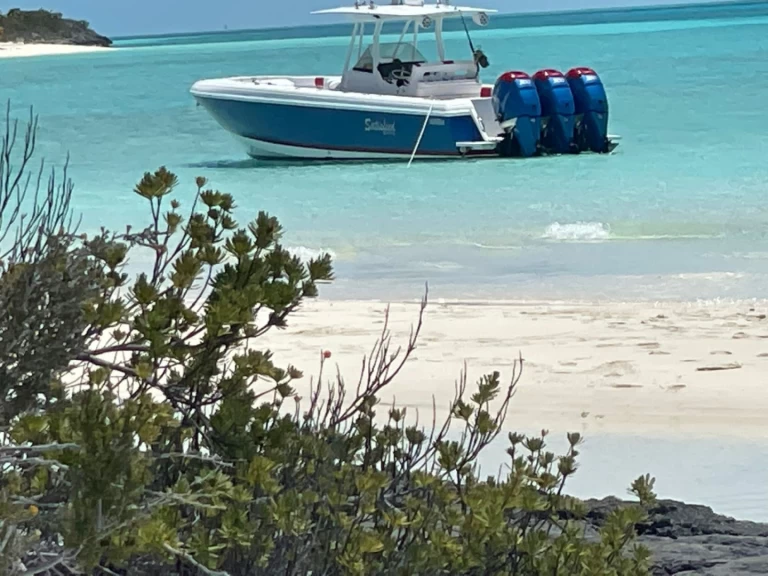 Hire Motorboat Intrepid with a boat licence