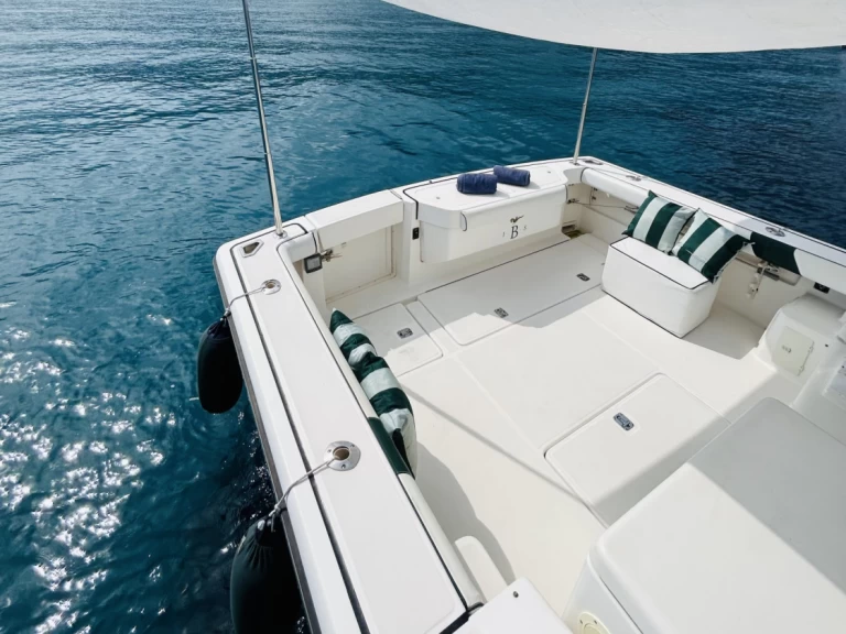 Hire Motorboat PURSUIT  with a boat licence