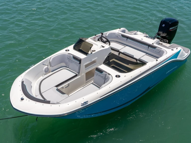 Hire a Bayliner M17 Aix-les-Bains