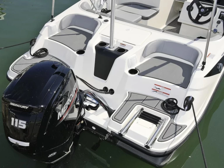 Charter a Bayliner M17 in Aix-les-Bains on Samboat