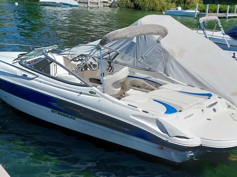 Motorboat hire in Geneva (District) - Stingray 225cr