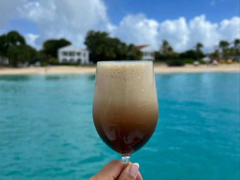 Yacht hire Marigot cheap Lavezzi 40 Maestro