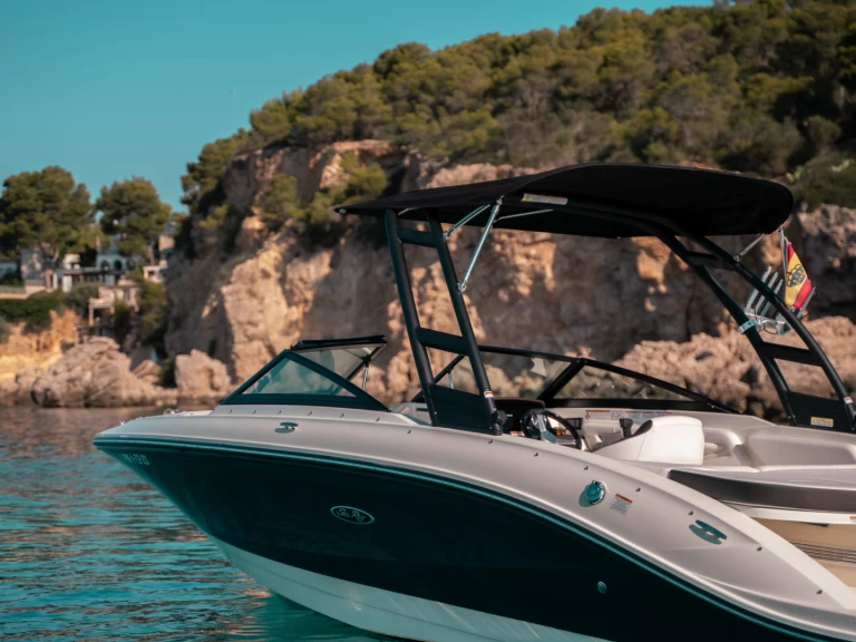 Hire Motorboat Sea Ray with a boat licence