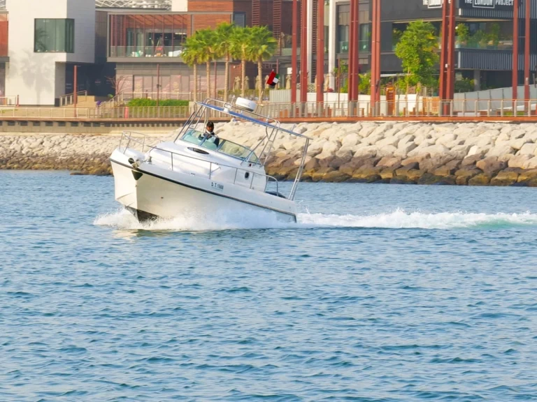 Yacht hire Dubai Marina cheap 30