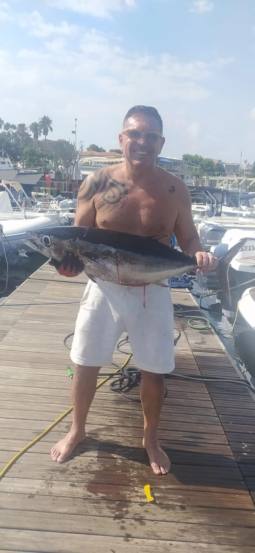 Charter a Sealine Ambassador 360 in Ognina - Picanello - Barriera - Canalicchio on Samboat