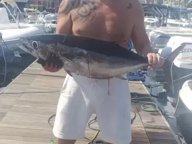 Charter a Sealine Ambassador 360 in Ognina - Picanello - Barriera - Canalicchio on Samboat