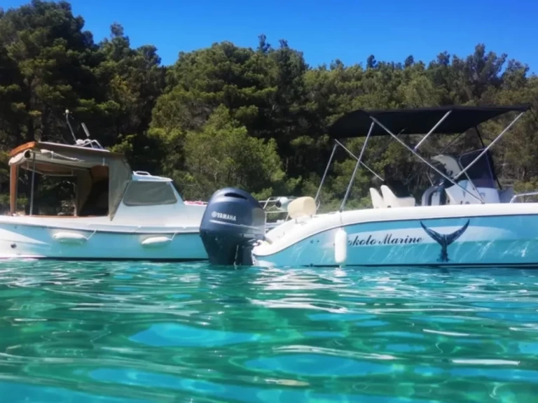Hire Motorboat Fisher with a boat licence