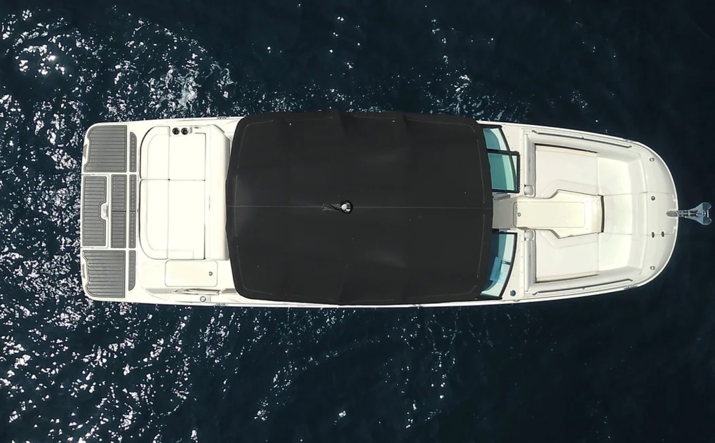 Sea Ray SDX 290 charter bareboat or skippered in  Juan-les-Pins