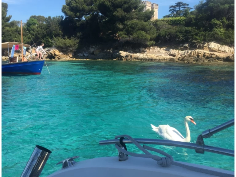 Chris Craft Sea Hawk 213 charter bareboat or skippered in  Cannes