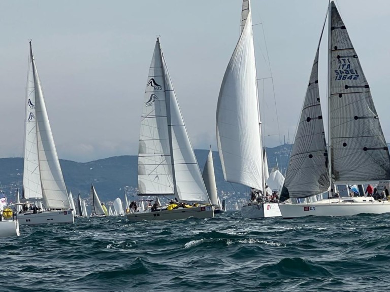 Hire Sailboat Hanse with a boat licence