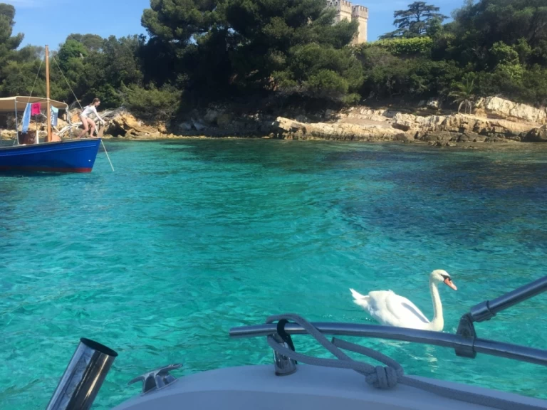 Ranieri Shadow 22 S charter bareboat or skippered in  Cannes