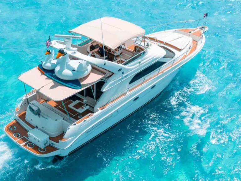 Yacht charter Cancún - Sea Ray 50 on SamBoat