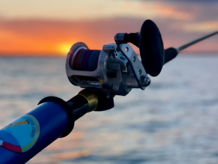 Hire RIB with or without skipper Perondi Porto Cesareo (Port)