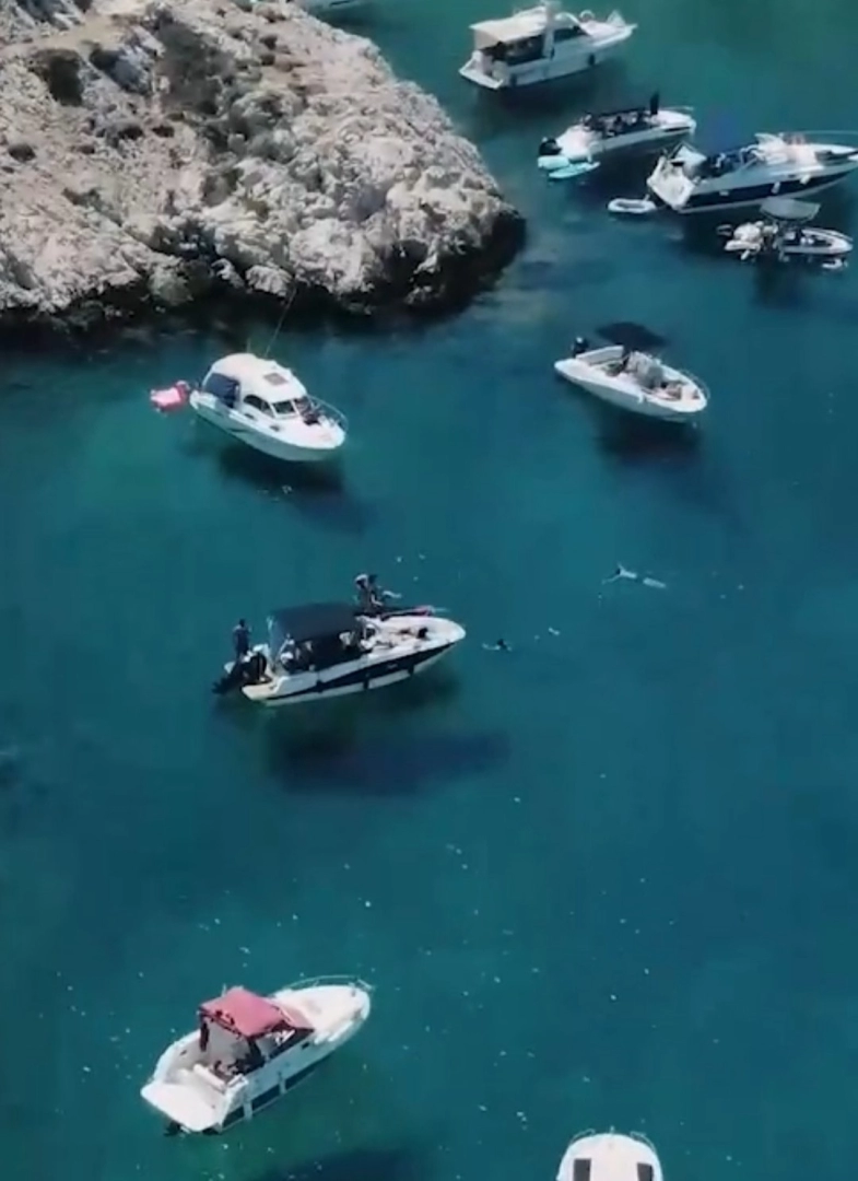 Yacht charter Marseille - Quicksilver Activ 605 Open on SamBoat