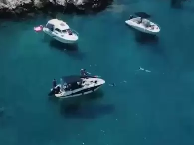 Yacht charter Marseille - Quicksilver Activ 605 Open on SamBoat