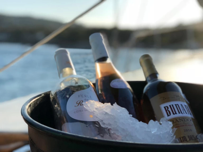 Catamaran to hire Sanary-sur-Mer at the best price