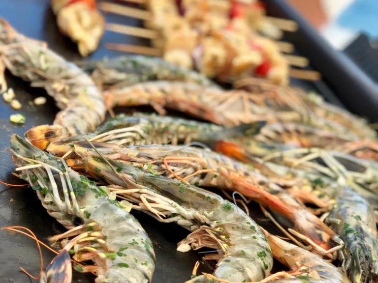 Hire Catamaran Plan-Caroff with a boat licence