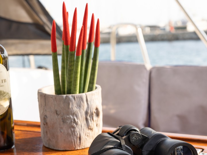 Hire Sailboat with or without skipper Bavaria Alimos