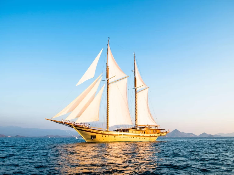 Charter a  LAMIMA in Sorong on Samboat