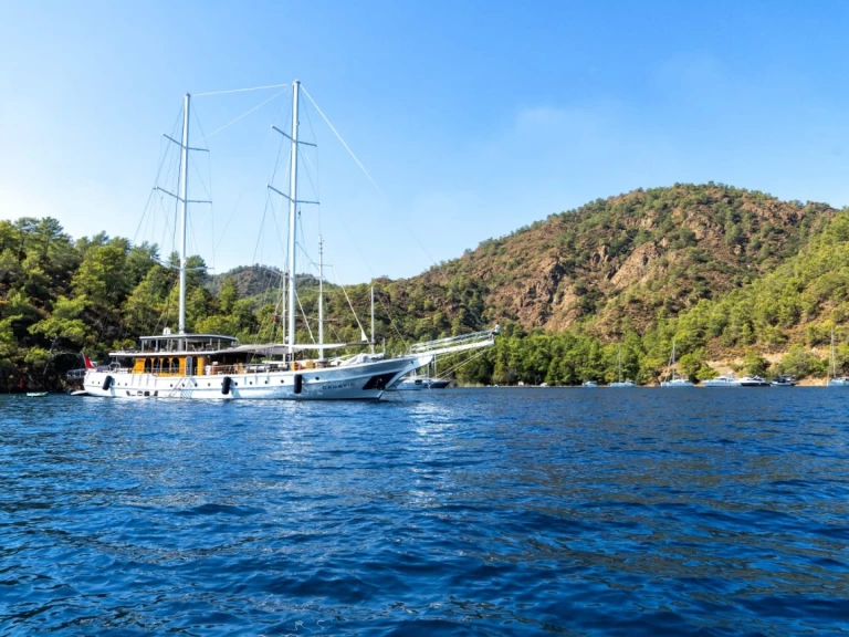 Hire Sailboat Custom Made with a boat licence