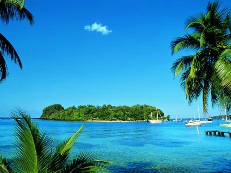 Yacht charter Fort-de-France - Tortarollo Sloop one design on SamBoat