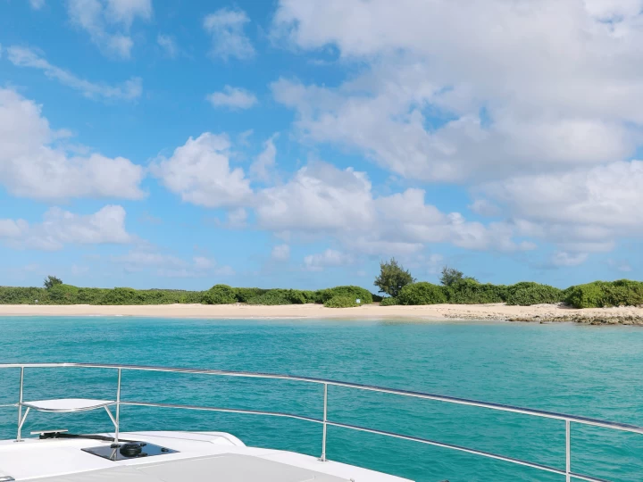 Motorboat hire in Marigot - Robertson and Caine Leopard 53 PC