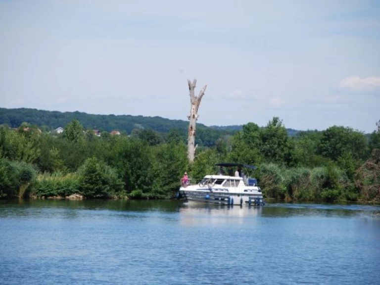 Hire Canal boat Tarpon with a boat licence