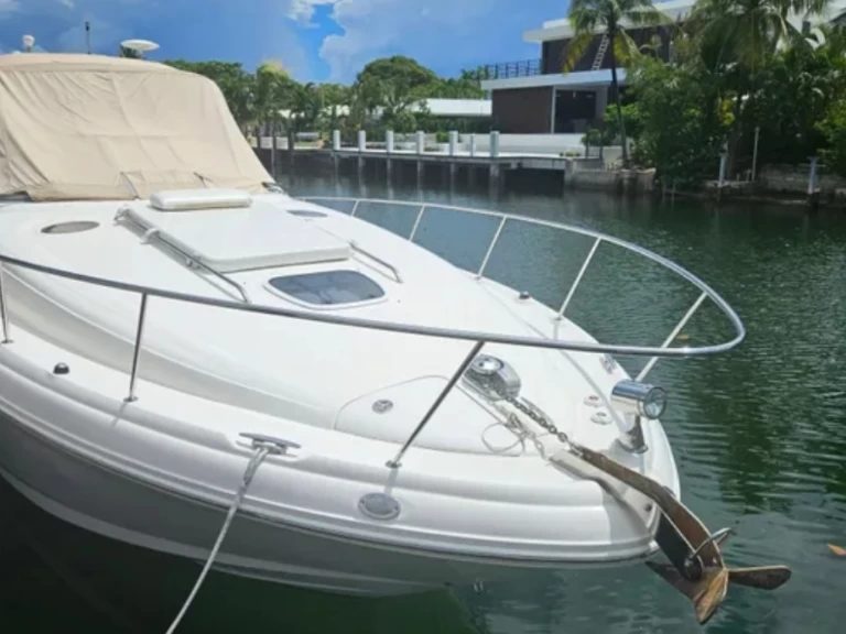 Hire Motorboat Sea Ray with a boat licence
