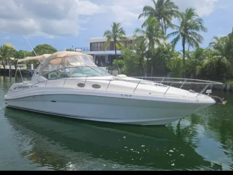 Motorboat to hire Miami at the best price