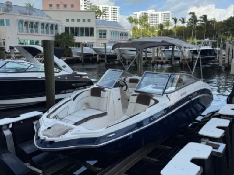 Charter a Yamaha Limited 24 5 in Miami on Samboat