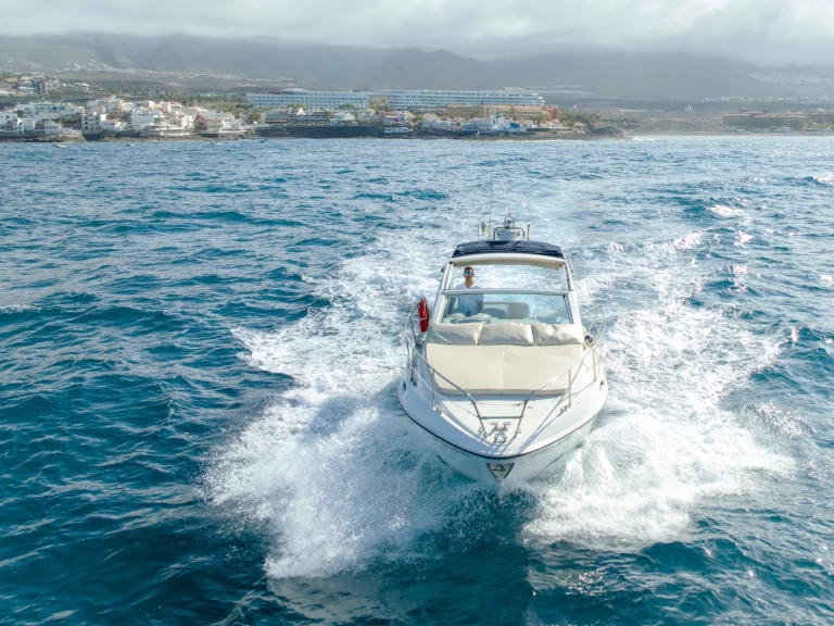 Sealine Sealine 290 charter bareboat or skippered in  Costa Adeje